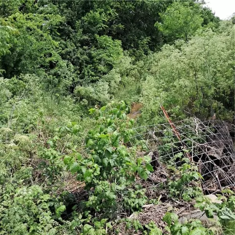 tbd Jacket Rd, Seligman, MO 65745 photo 11