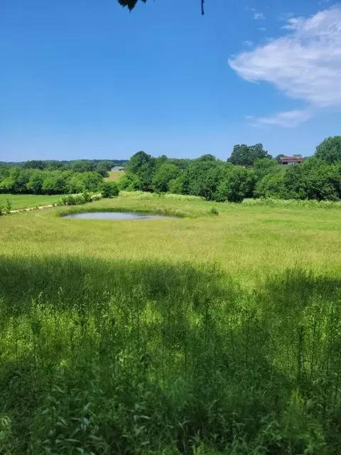 tbd Jacket Rd, Seligman, MO 65745 photo 16
