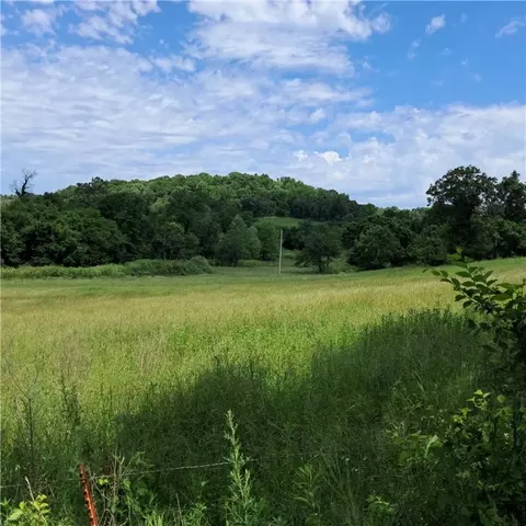 tbd Jacket Rd, Seligman, MO 65745 photo 4