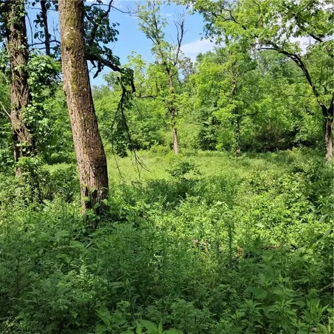 tbd Jacket Rd, Seligman, MO 65745 photo 19