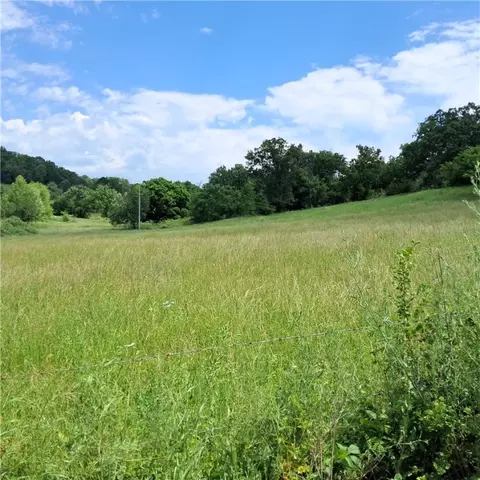 tbd Jacket Rd, Seligman, MO 65745 photo 8