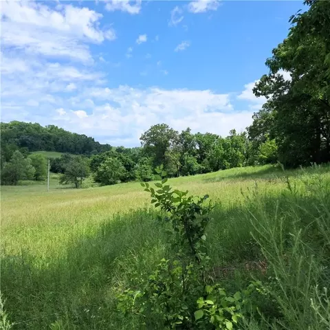 tbd Jacket Rd, Seligman, MO 65745 photo 2