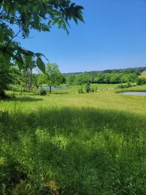 tbd Jacket Rd, Seligman, MO 65745 photo 13