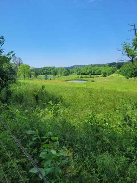 tbd Jacket Rd, Seligman, MO 65745 photo 12