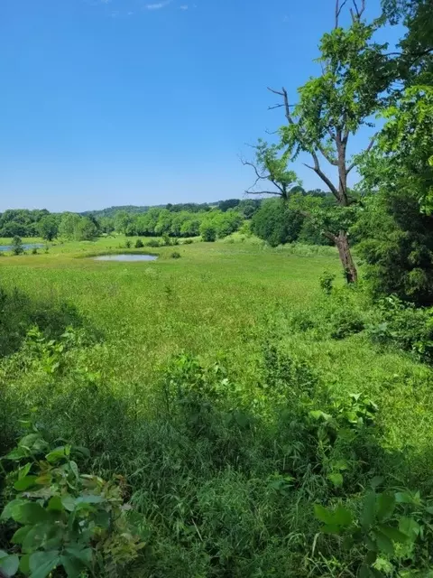 tbd Jacket Rd, Seligman, MO 65745 photo 17