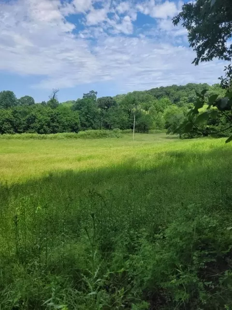 tbd Jacket Rd, Seligman, MO 65745 photo 14