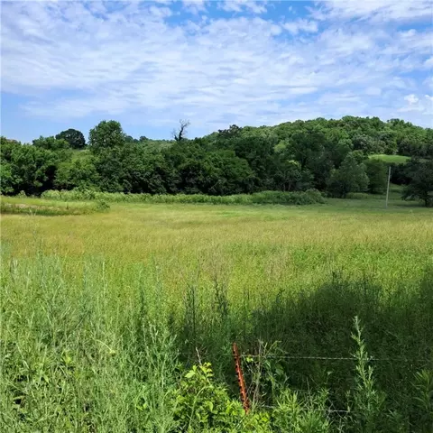 tbd Jacket Rd, Seligman, MO 65745 photo 3