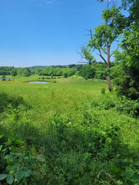 tbd Jacket Rd, Seligman, MO 65745 photo 15