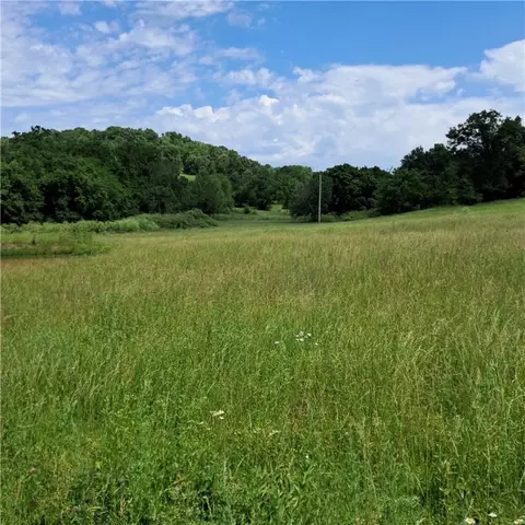 tbd Jacket Rd, Seligman, MO 65745 photo 10