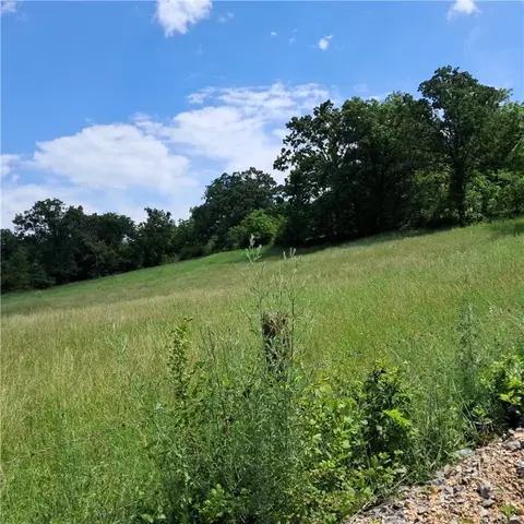tbd Jacket Rd, Seligman, MO 65745 photo 6