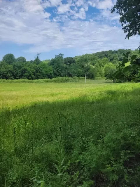 tbd Jacket Rd, Seligman, MO 65745 photo 18