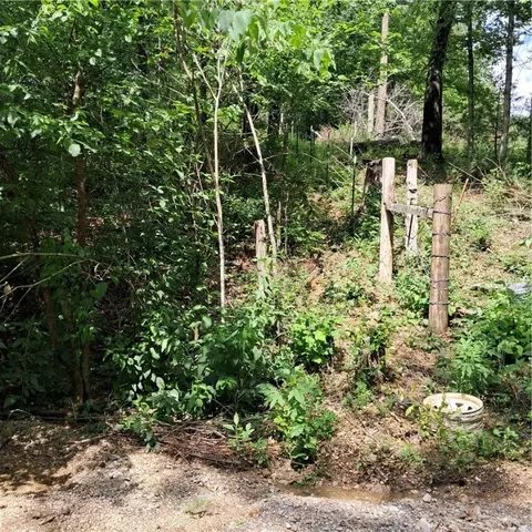tbd Jacket Rd, Seligman, MO 65745 photo 20