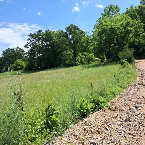 tbd Jacket Rd, Seligman, MO 65745 photo 5