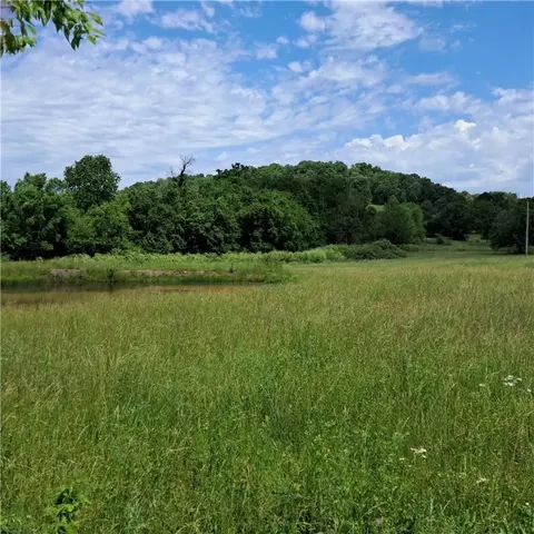tbd Jacket Rd, Seligman, MO 65745 photo 9