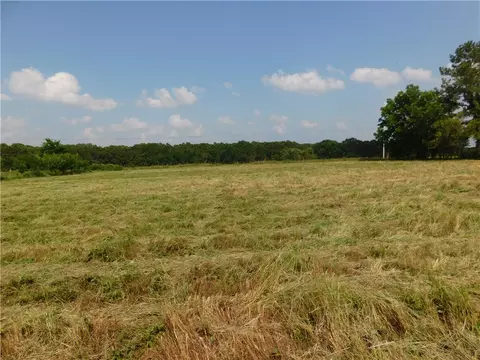 10 96 Acres Jackson Hwy, Lincoln, AR 72744