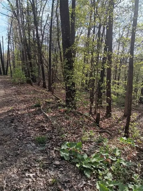 lot30 St Ives Cir, Bella Vista, AR 72714