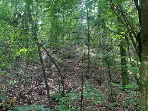 tbd Tract 1 Citadel Bluff Trl, Cecil, AR 72930 photo 10