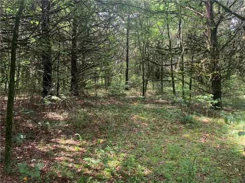 tbd Tract 1 Citadel Bluff Trl, Cecil, AR 72930 photo 18