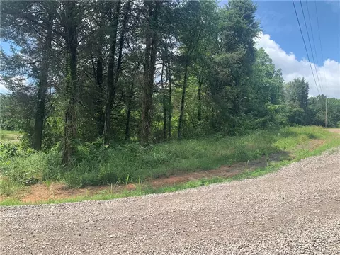 tbd Tract 1 Citadel Bluff Trl, Cecil, AR 72930 photo 15