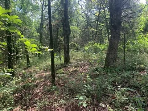 tbd Tract 1 Citadel Bluff Trl, Cecil, AR 72930 photo 7