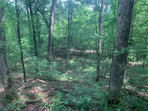 tbd Tract 1 Citadel Bluff Trl, Cecil, AR 72930 photo 9