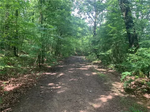 tbd Tract 1 Citadel Bluff Trl, Cecil, AR 72930 photo 6
