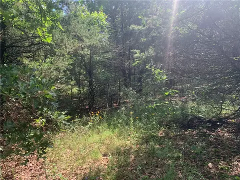 tbd Tract 1 Citadel Bluff Trl, Cecil, AR 72930 photo 13