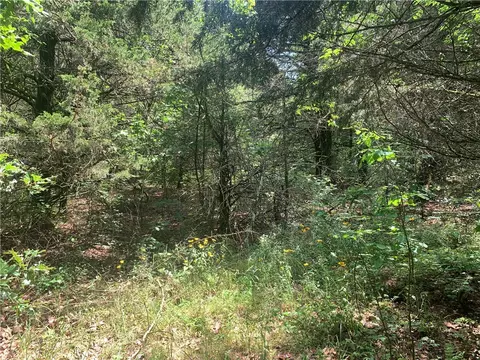 tbd Tract 1 Citadel Bluff Trl, Cecil, AR 72930 photo 12