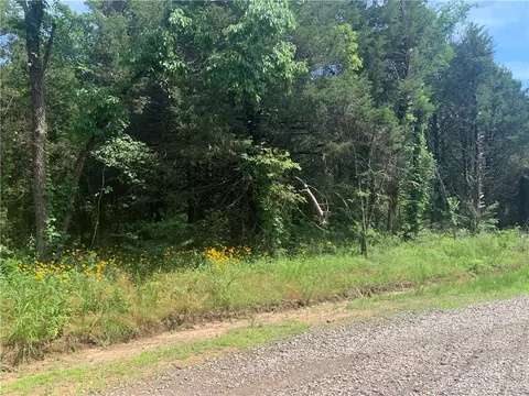 tbd Tract 1 Citadel Bluff Trl, Cecil, AR 72930 photo 16