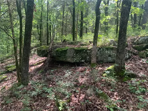 tbd Tract 1 Citadel Bluff Trl, Cecil, AR 72930 photo 8