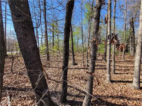 Alpha Circle, Bella Vista, AR 72715