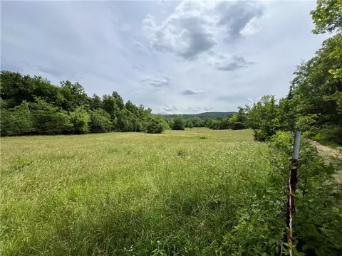 Undisclosed, Marshall, AR 72650 photo 11