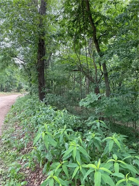 lot429 Arabian Dr, Rogers, AR 72756