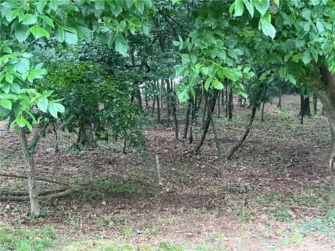 Sunset Ridge Circle, Springdale, AR 72762 photo 2