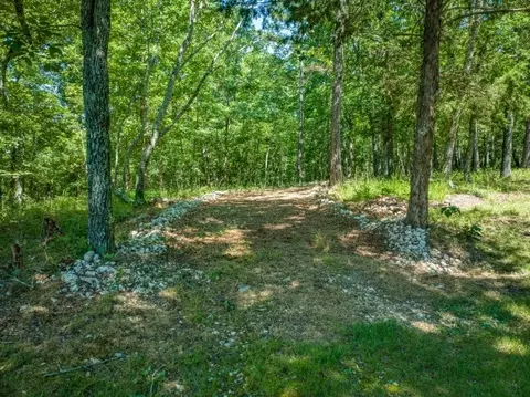 4447 Nc 3850, Jasper, AR 72641 photo 55