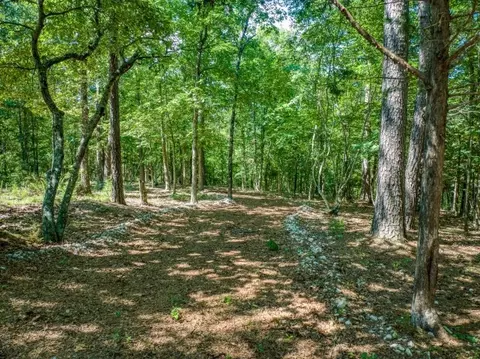4447 Nc 3850, Jasper, AR 72641 photo 52