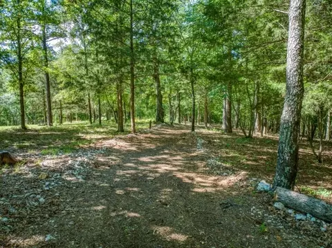 4447 Nc 3850, Jasper, AR 72641 photo 51