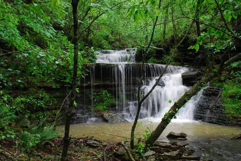 12019 Highway 295, Combs, AR 72721 photo 4