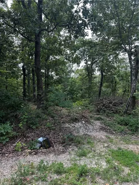 Shere Lane, Bella Vista, AR 72714