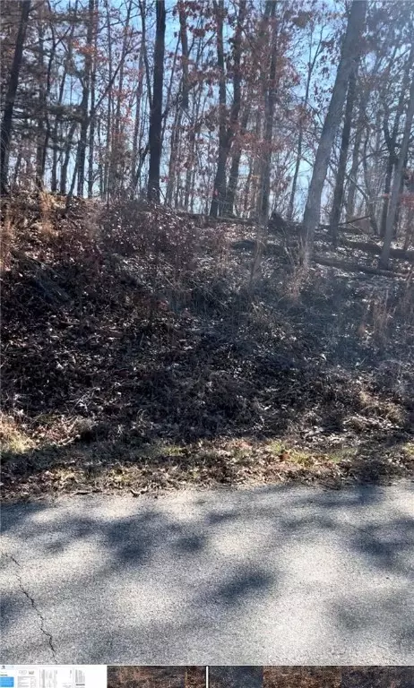 L7 B5 S Cheshnut Drive, Bella Vista, AR 72714