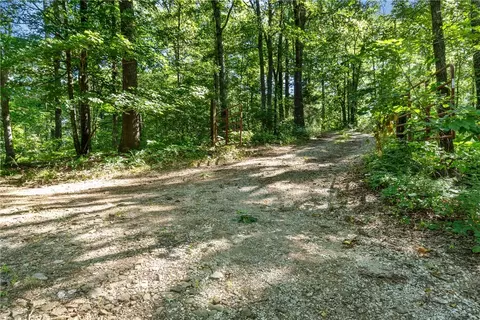 11808 Devils Den Rd, Winslow, AR 72959 photo 2