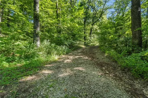 11808 Devils Den Rd, Winslow, AR 72959 photo 4