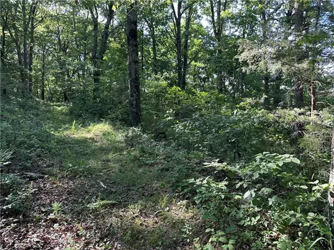 15496 Low Gap Rd, West Fork, AR 72774 photo 21