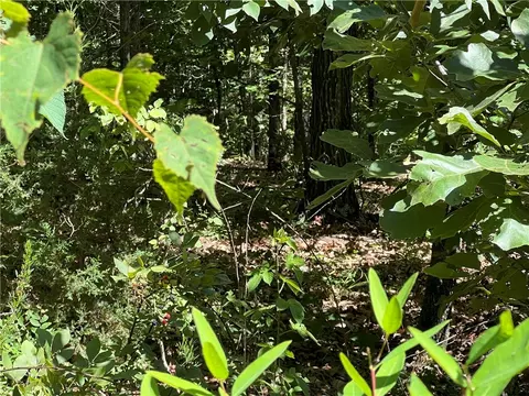 Petworth Lane, Bella Vista, AR 72714