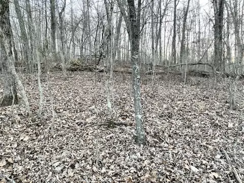19 Tudor Lane, Bella Vista, AR 72715