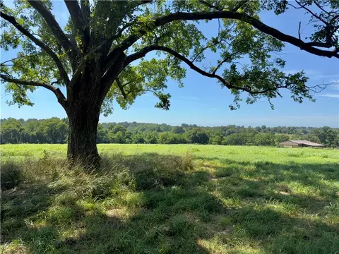 Ladelle Ave, Lowell, AR 72745