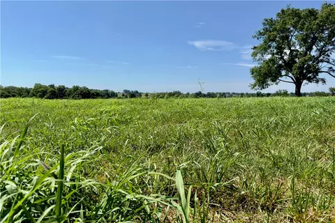 Ladelle Ave, Lowell, AR 72745 photo 4