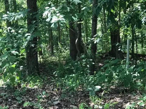Rori Lane, Bella Vista, AR 72715