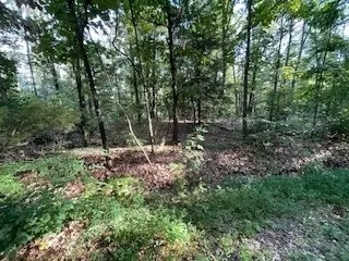 lot45 Rochester Dr, Bella Vista, AR 72714