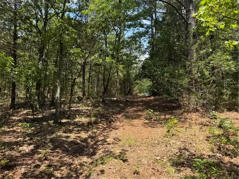 tbd Hummingbird Rd, Elkins, AR 72727